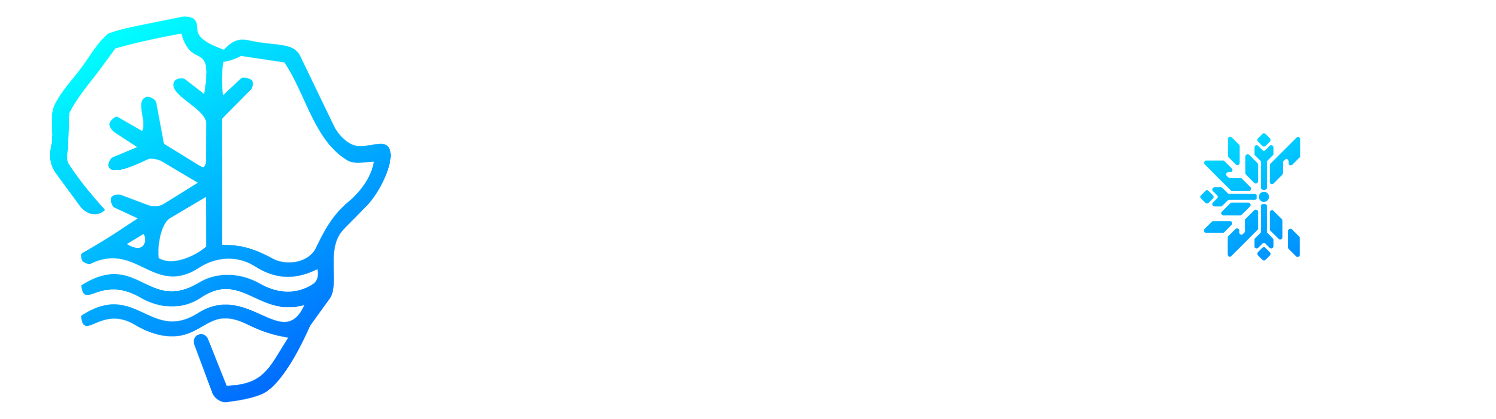 Refafrica